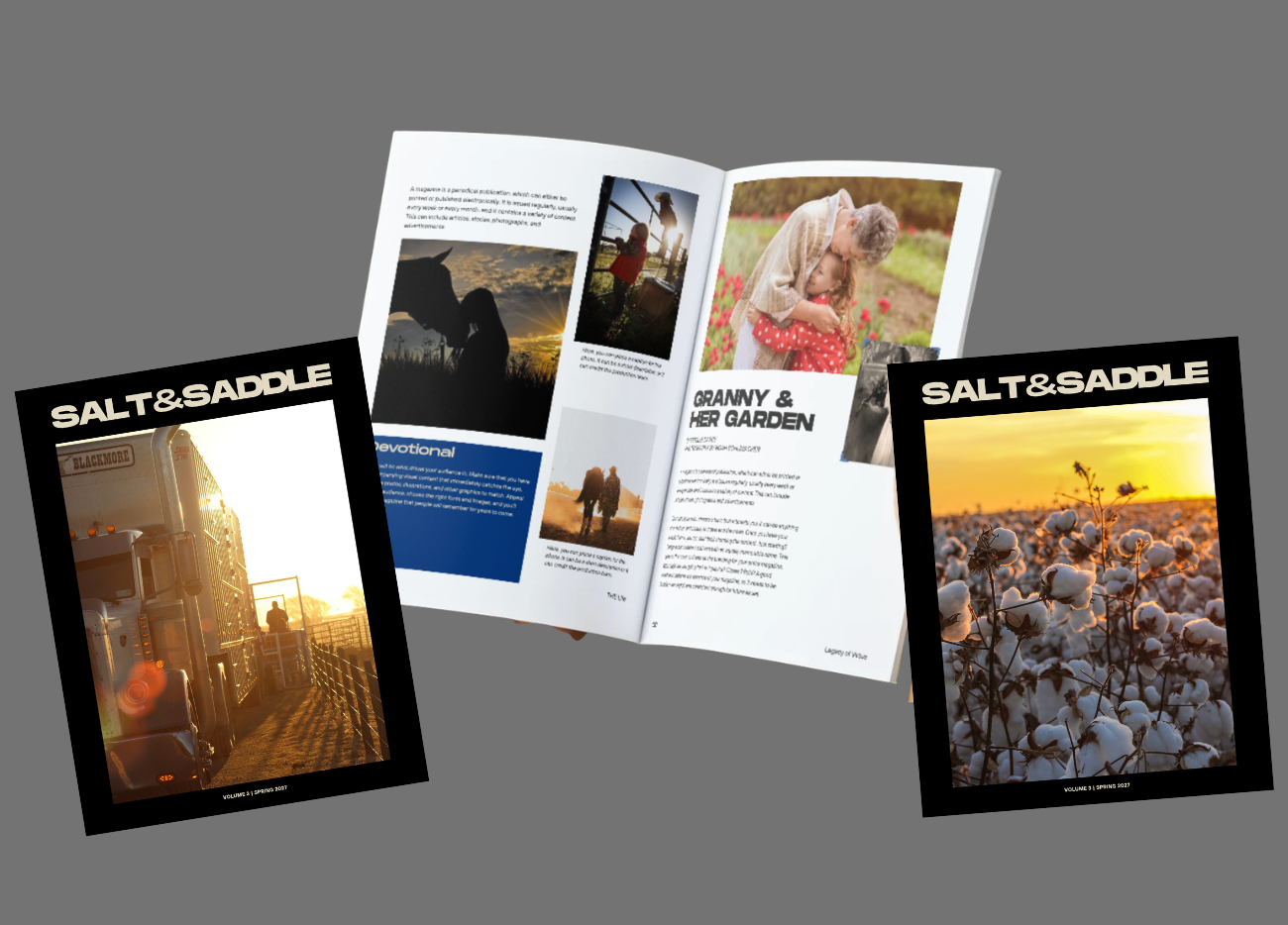 Three mock ups with 'Salt & Saddle' branding on a gray background