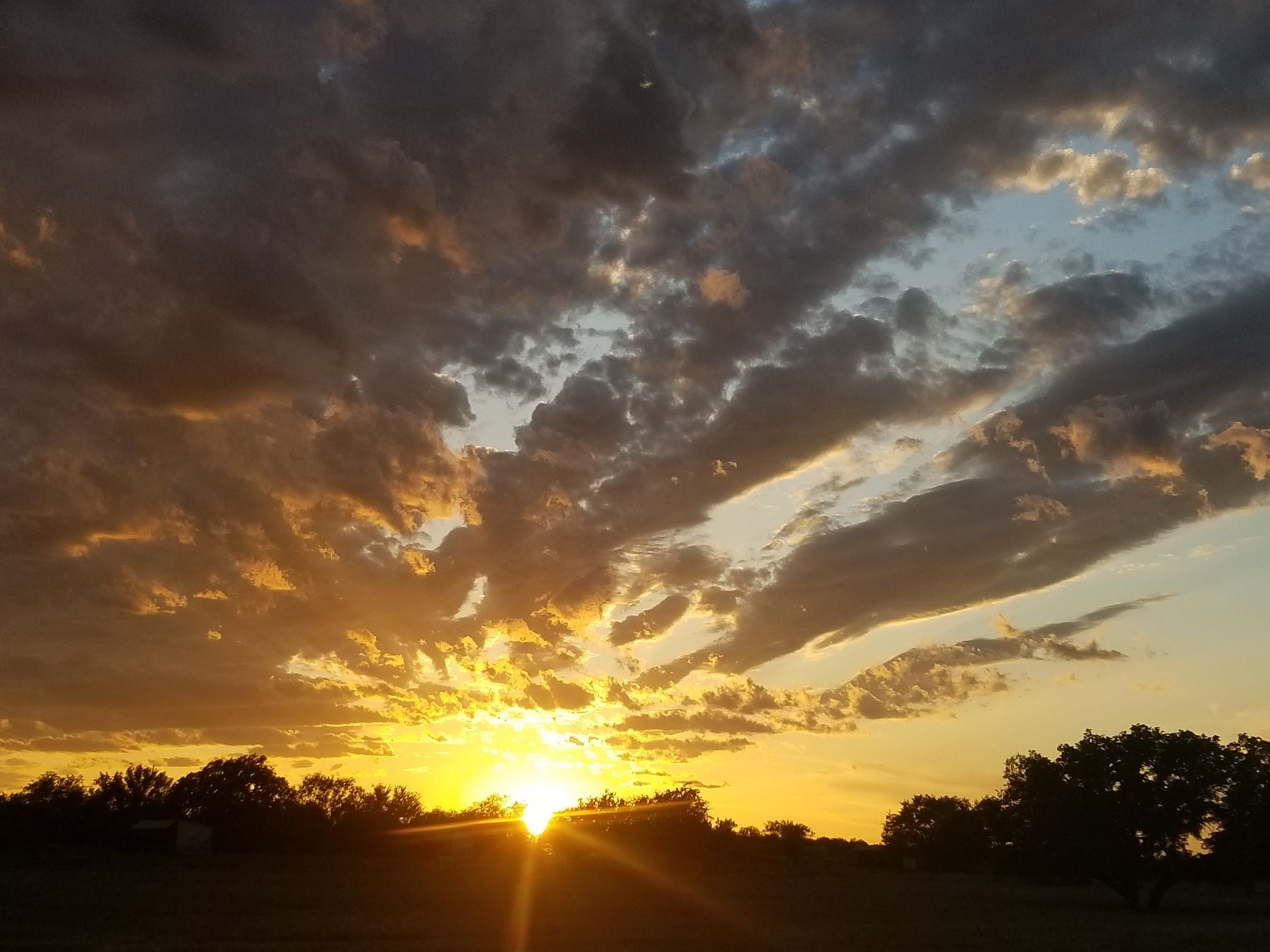 sunrise through the trees and clouds by Emilee Haubner